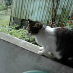 20120226-DSC_3878.jpg