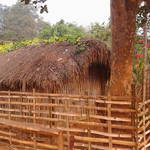 Assam-Haus auf dem Land