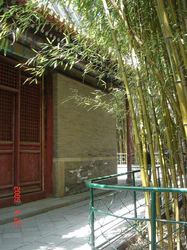 DSC06080.JPG