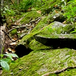 Hiking Orford (Sept. 2008)