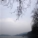 P1000788.jpg