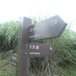 擎天崗