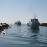 .. and later saw seagulls following the returning fishing fleet.