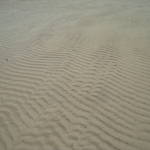 DSC00860.JPG
