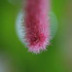 IMG_0797.JPG