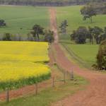 Farm_Walpole14.JPG