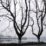P1000792.jpg