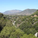 RIMG0001.JPG