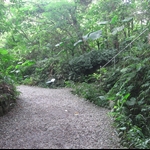 照片 039.jpg