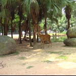 DSC00317.JPG