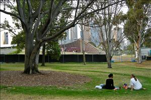 Picnic at the sound of a live music show