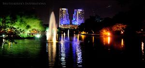 Nightscape at LAMAN 2008.jpg
