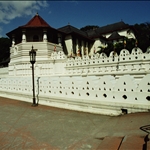 100.JPG