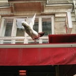 Parigi ottobre 2007 012.jpg