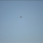 DSC02140.JPG