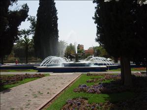 P4230535.JPG