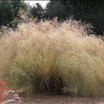 20090826_31.jpg