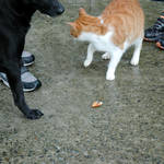 20120226-DSC_3863.jpg