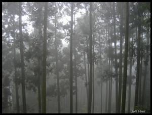 DSCN0338.jpg