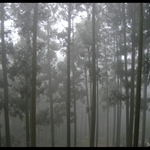 DSCN0338.jpg