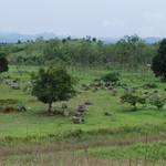 One of the sites with the famous Phonsava plain of jars...