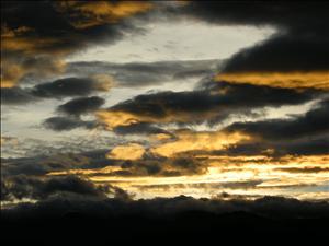 DSCN0596.jpg