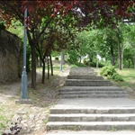 P1010740.JPG