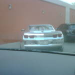 IMG01095-20101229-1714.jpg