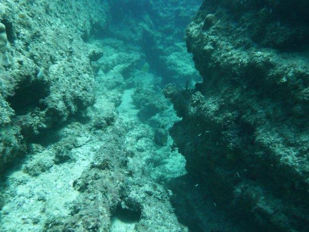 n581861735_1258568_1142[1].jpg