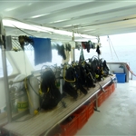 Cairns Januar 2011