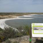 Salt lake at Chiprana.