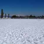 DSCF1813.JPG