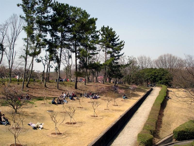in the park