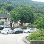 南邊圍 Nam Pin Wai
