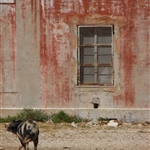 RIMG0188.JPG