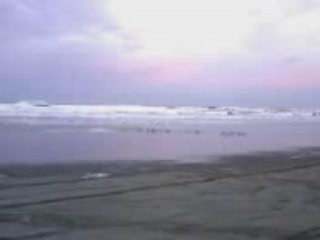 1481054796ORIG.mov