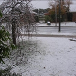 our front yard•Alfredton•2007