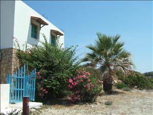 Near to the Sacallis Hotel, Kefalos Bay