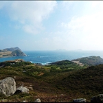DSC_0716.jpg