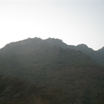 IMG_3499.JPG