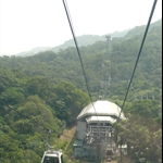 貓纜 (25).JPG