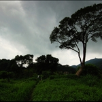 20100529 鴉山古道 A Shan Ancient Trail