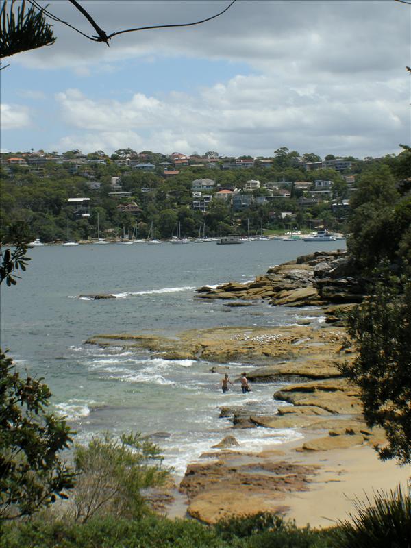 Beginning of the 10km Manly Scenic Walkway track