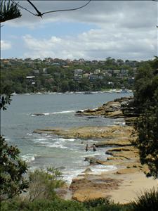 Beginning of the 10km Manly Scenic Walkway track