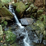 DSC_5435.jpg