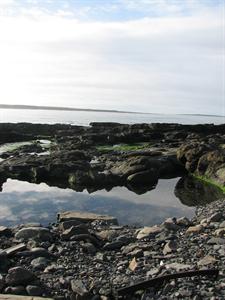 IMG_0055.jpg