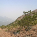 DSCN4689.jpg