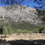 RIMG0004.JPG