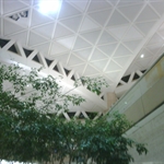 IMG00765-20101110-0321.jpg