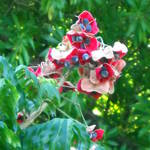 Fleur de soie.jpg